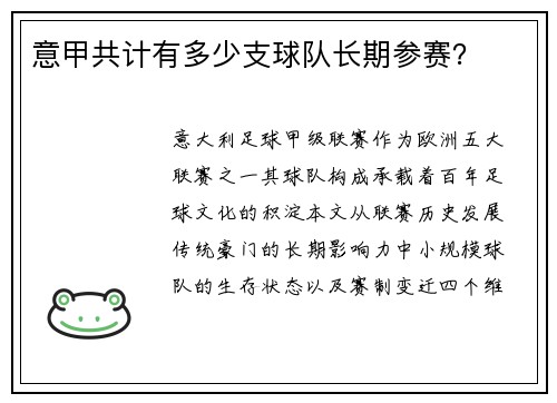 意甲共计有多少支球队长期参赛？